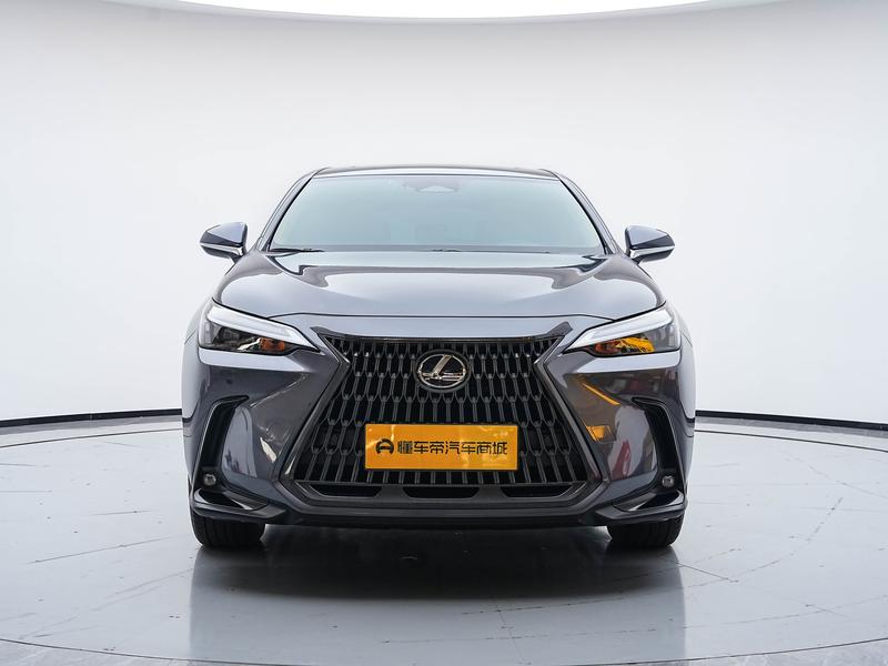 Lexus NX Hybrid, 2023 — фото 2 из 12