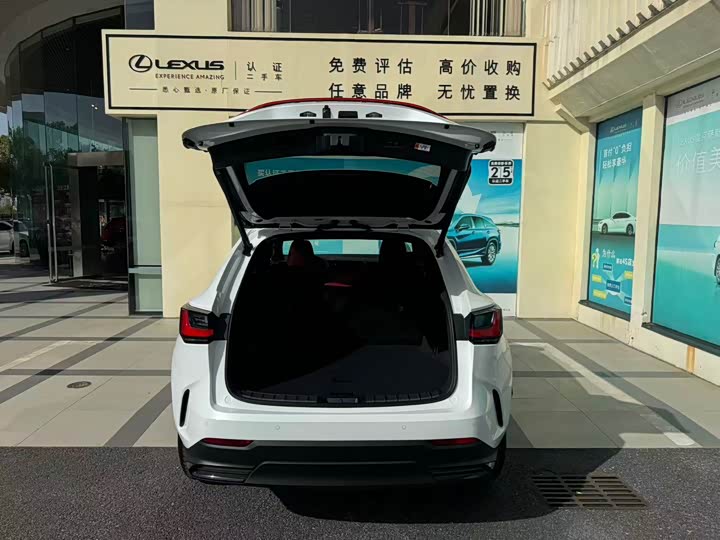 Lexus NX, 2025 — фото 9 из 9