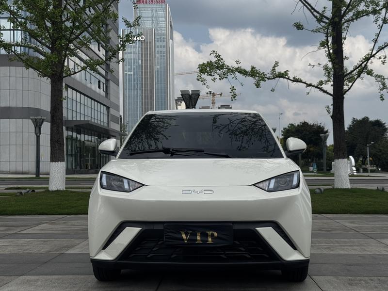 BYD Seagull, 2024 — фото 2 из 10