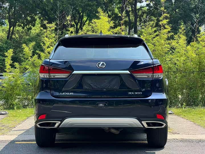 Lexus RX, 2022 — фото 5 из 9
