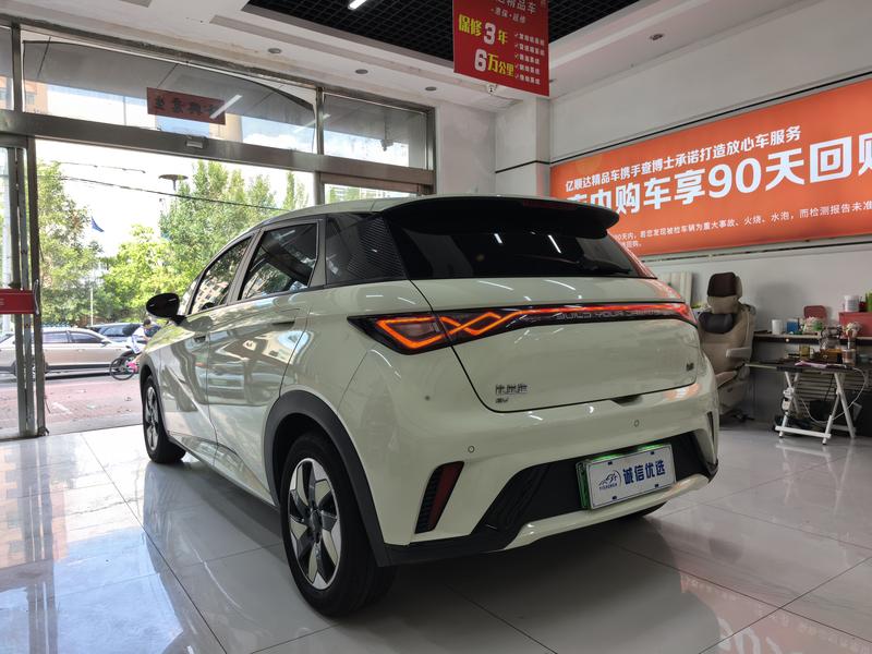 BYD Dolphin, 2024 — фото 4 из 12