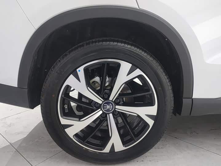 BYD Song Pro Hybrid, 2026 — фото 6 из 9