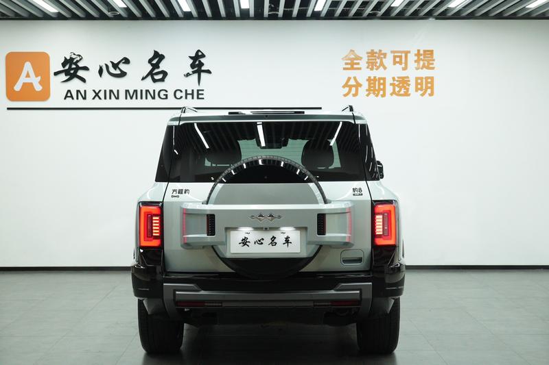 BYD FangChengBao Leopard 8, 2024 — фото 4 из 12
