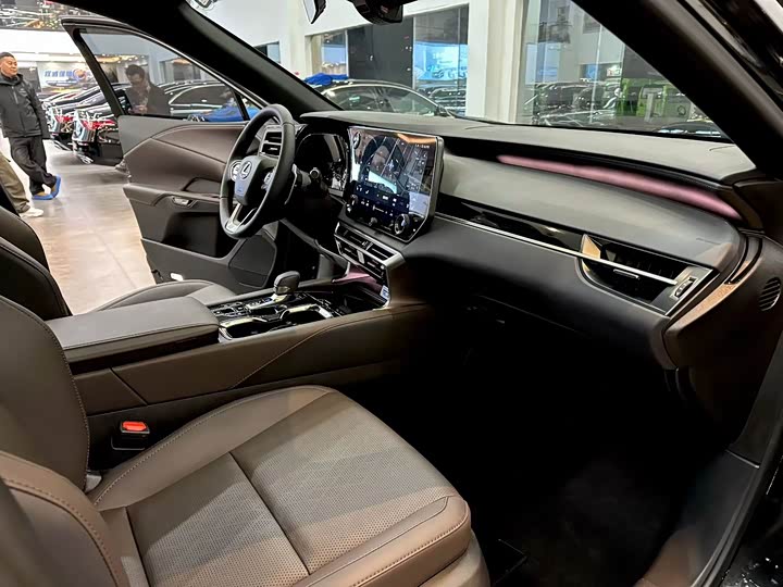 Lexus RX, 2024 — фото 9 из 9