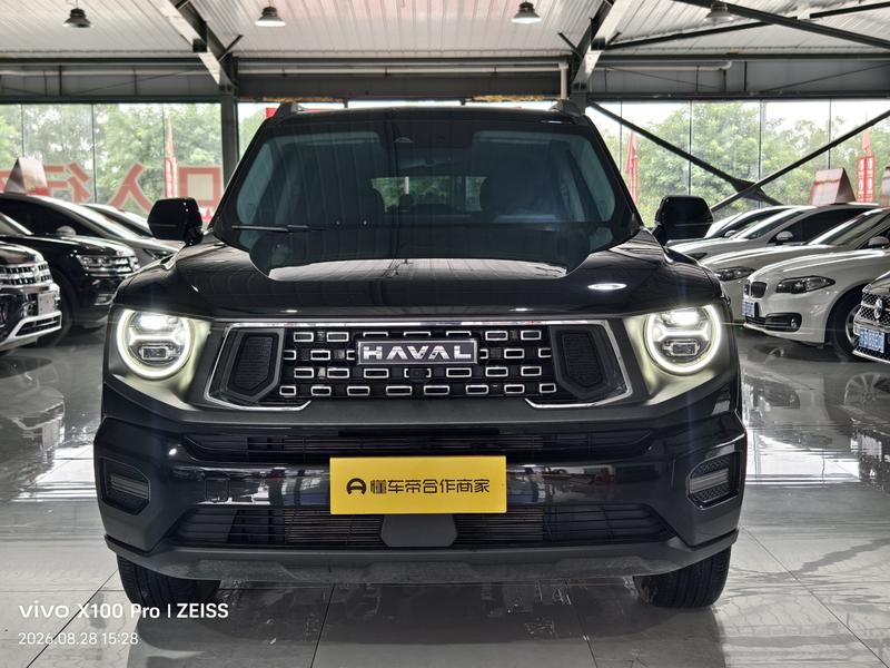 Haval H-Dog, 2024 — фото 2 из 10