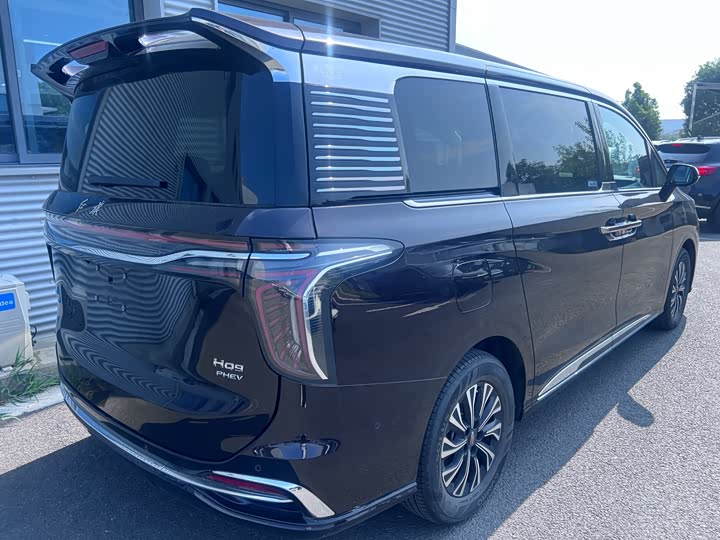 Hongqi HQ9 Hybrid, 2023 — фото 9 из 9