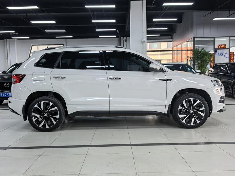 Skoda Karoq, 2022 — фото 7 из 12
