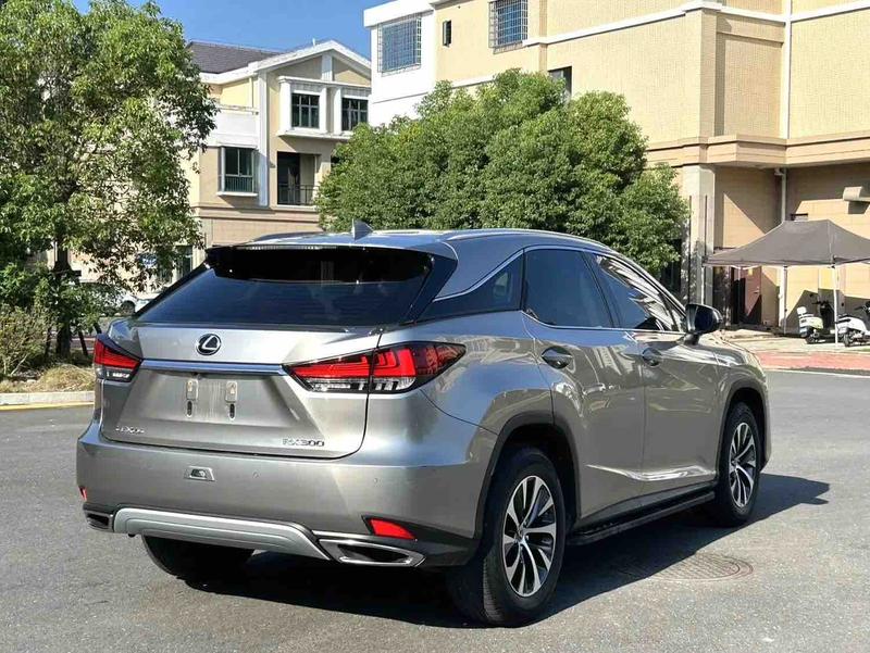 Lexus RX, 2022 — фото 5 из 10