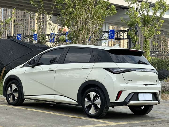 BYD Dolphin, 2023 — фото 6 из 9