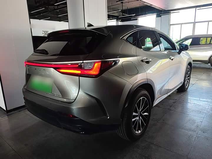 Lexus NX Hybrid, 2024 — фото 7 из 9