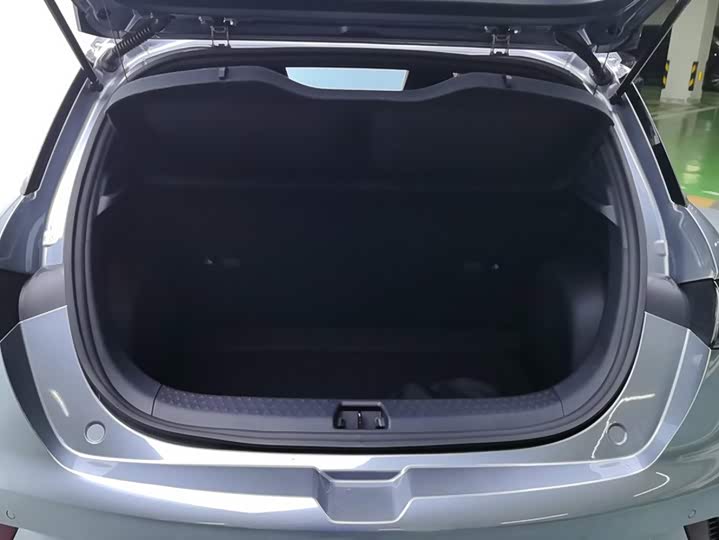 BYD Dolphin, 2024 — фото 4 из 9