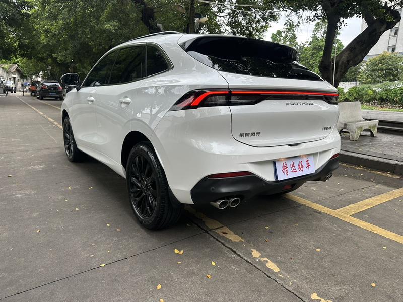 Dongfeng Forthing T5 EVO, 2022 — фото 4 из 12