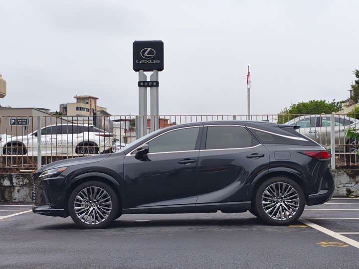Lexus RX Hybrid, 2023 — фото 4 из 9