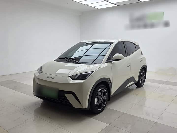 BYD Seagull, 2024 — купить в Оренбурге под ключ