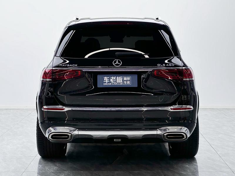 Mercedes-Benz Maybach GLS, 2023 — фото 5 из 12