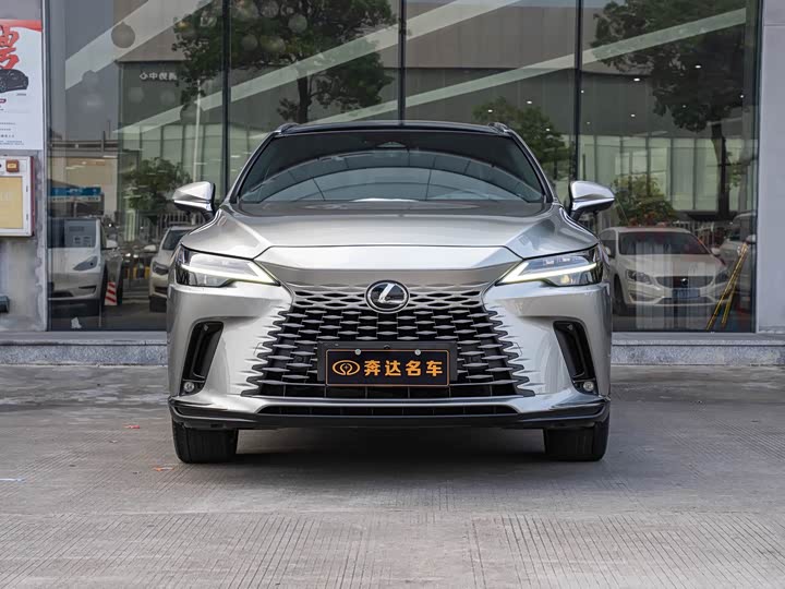 Lexus RX Hybrid, 2023 — фото 2 из 9