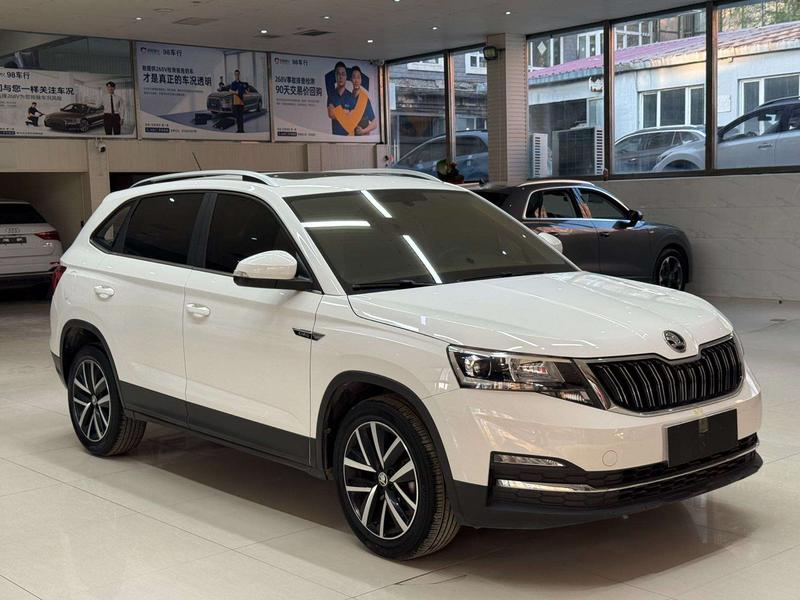 Skoda Kamiq, 2021 — фото 3 из 12