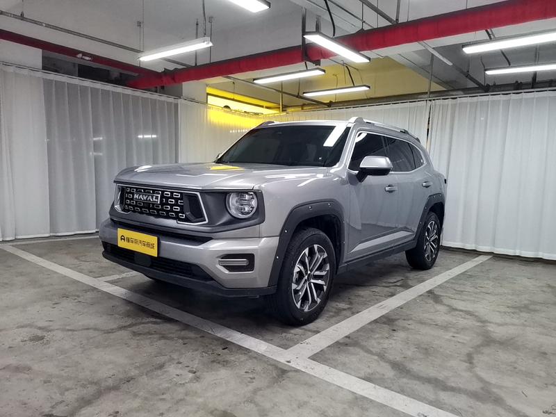 Haval H-Dog, 2023 — купить в Иванове под ключ