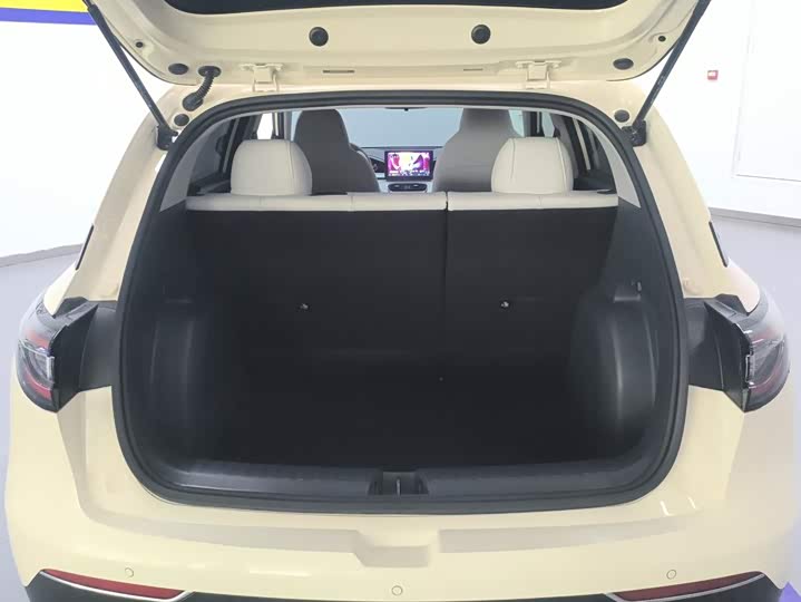 Geely Galaxy Geome, 2025 — фото 4 из 9
