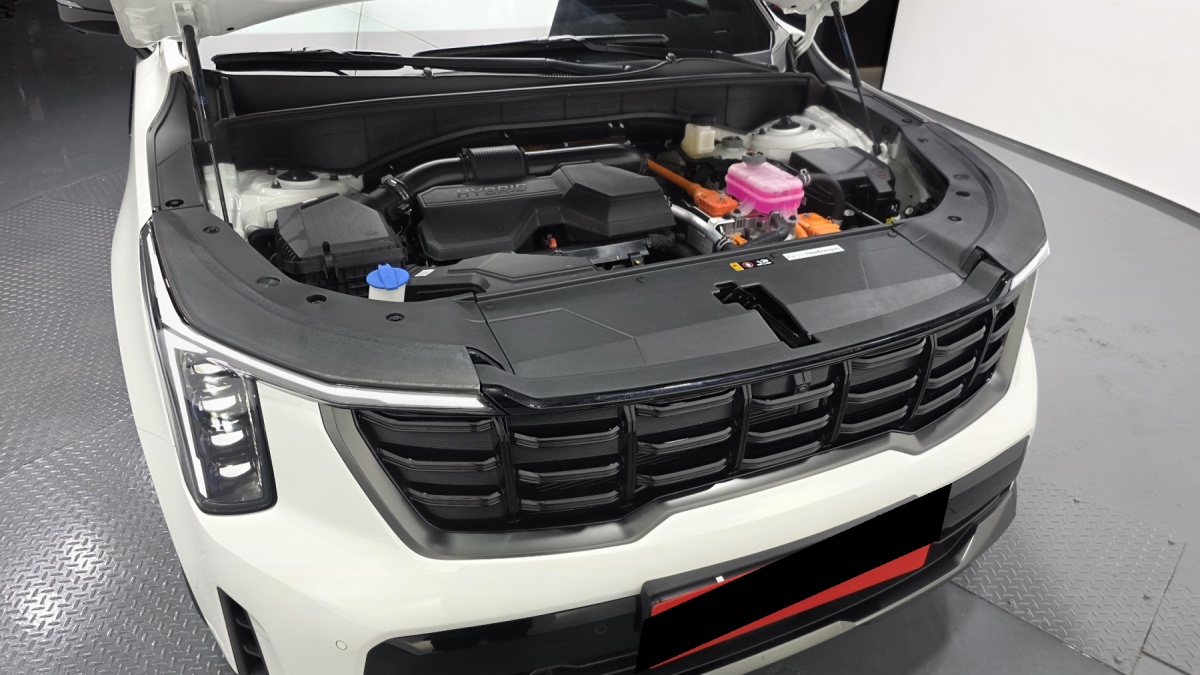 Kia Sorento, 2025 — фото 6 из 12