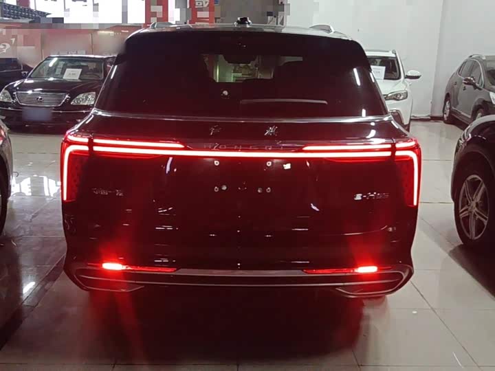 Hongqi E-HS9, 2025 — фото 6 из 9