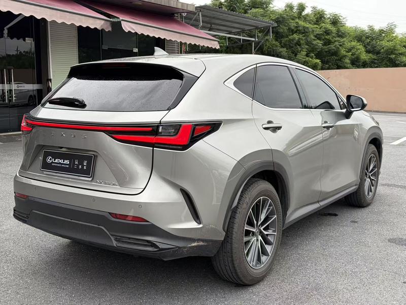 Lexus NX, 2026 — фото 5 из 10