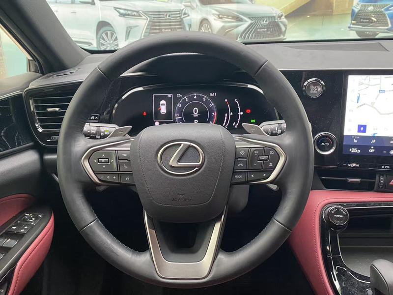 Lexus NX, 2023 — фото 6 из 10