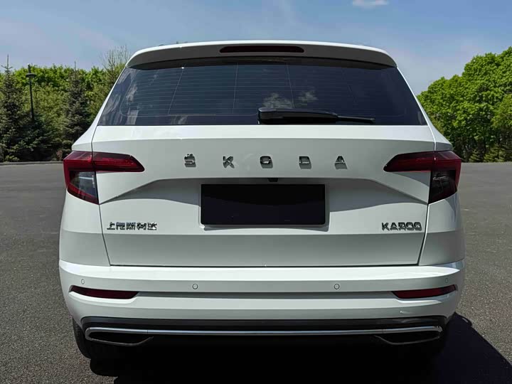 Skoda Karoq, 2023 — фото 5 из 9