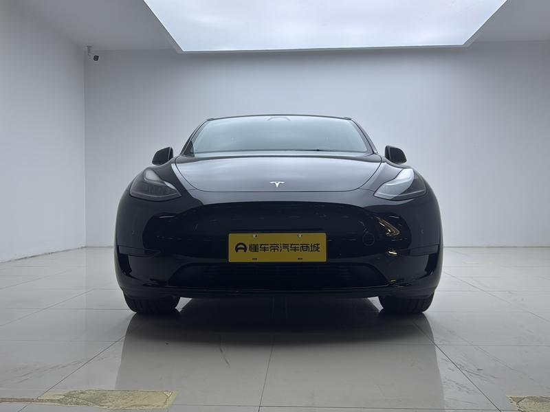 Tesla Model Y, 2023 — фото 2 из 12