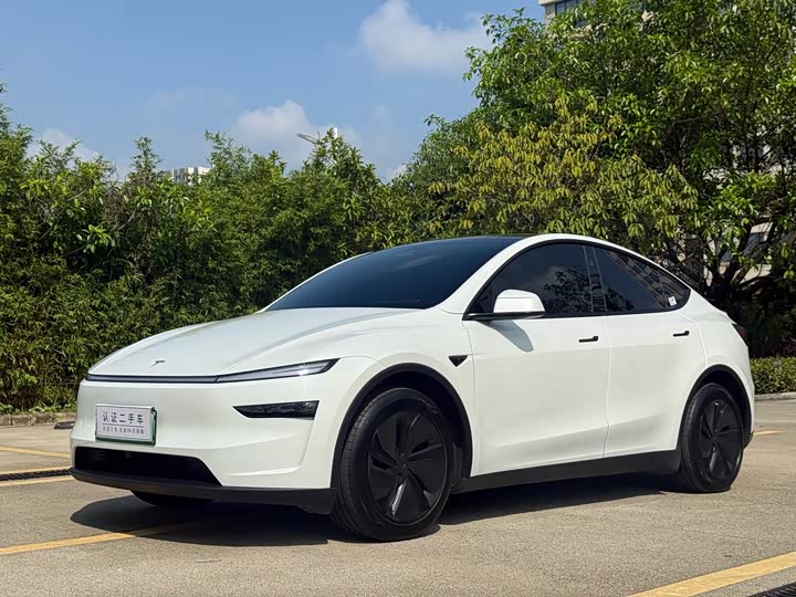 Tesla Model Y, 2025 — купить в Рязани под ключ