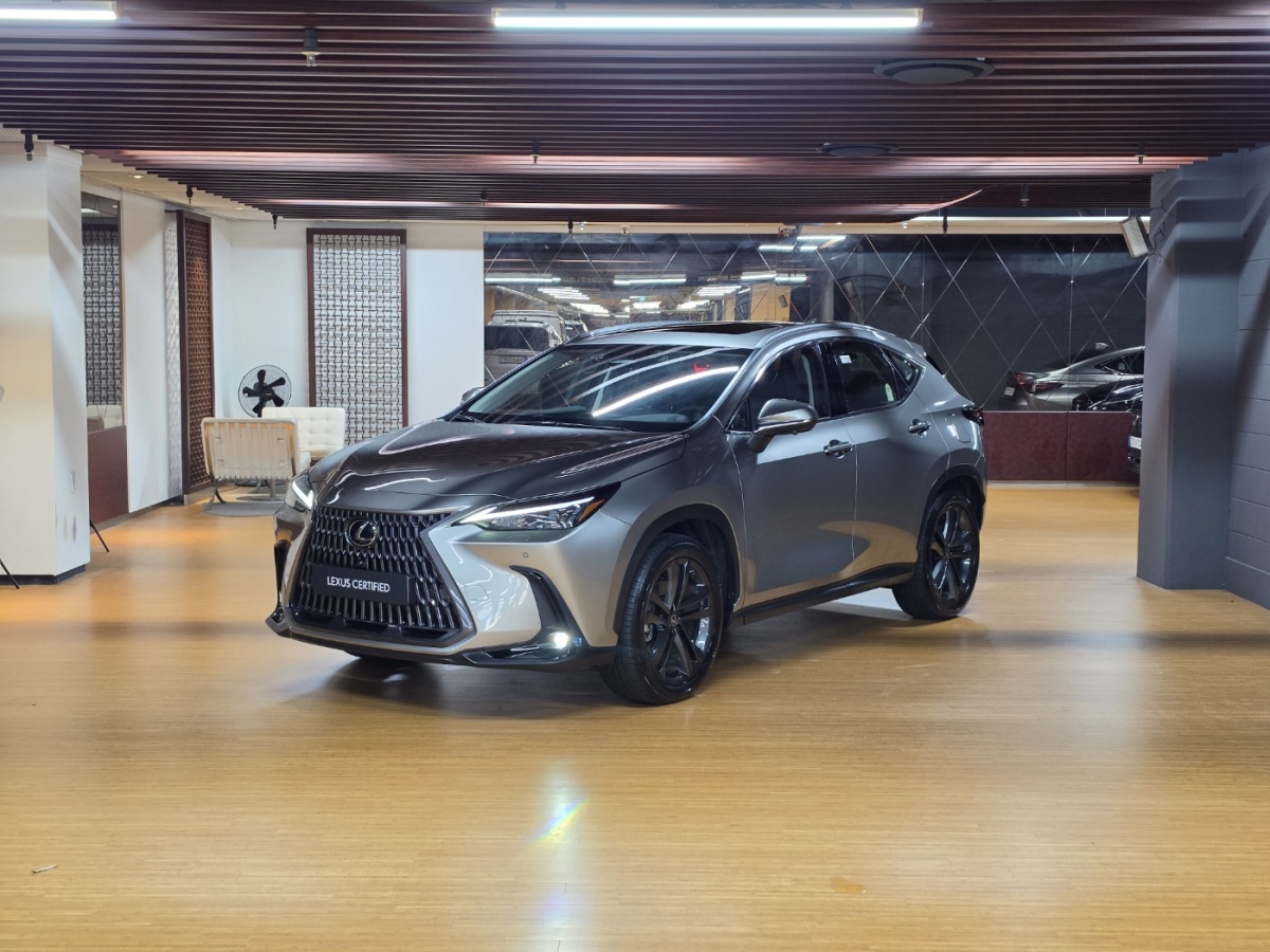 Lexus NX, 2025 — купить в Иванове под ключ