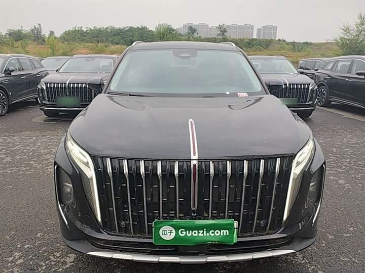 Hongqi HS7 Hybrid, 2024 — фото 3 из 9