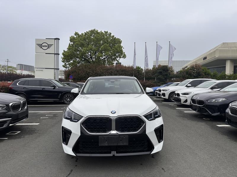 BMW X2, 2025 — фото 2 из 9