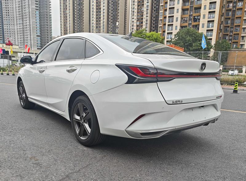 Changan Raeton Plus, 2023 — фото 4 из 10