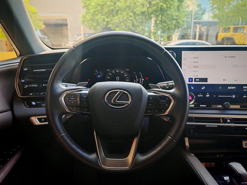 Lexus RX, 2022 — фото 7 из 10