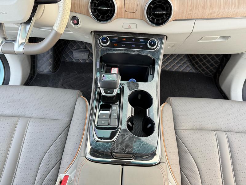 Dongfeng Forthing Yacht, 2023 — фото 10 из 12