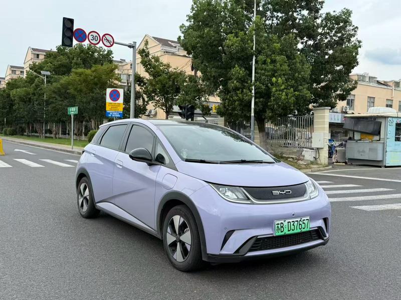 BYD Dolphin, 2023 — фото 3 из 10