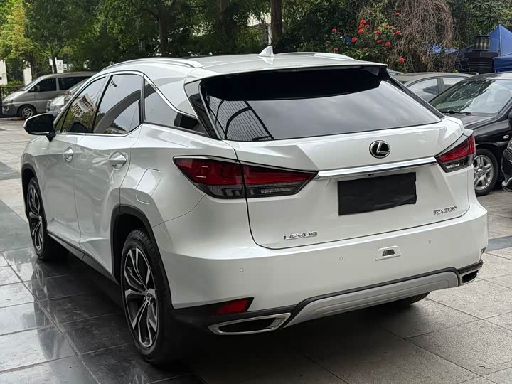 Lexus RX, 2024 — фото 7 из 9