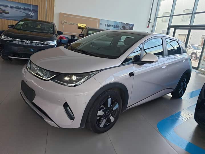 BYD Dolphin, 2025 — купить в Тамбове под ключ