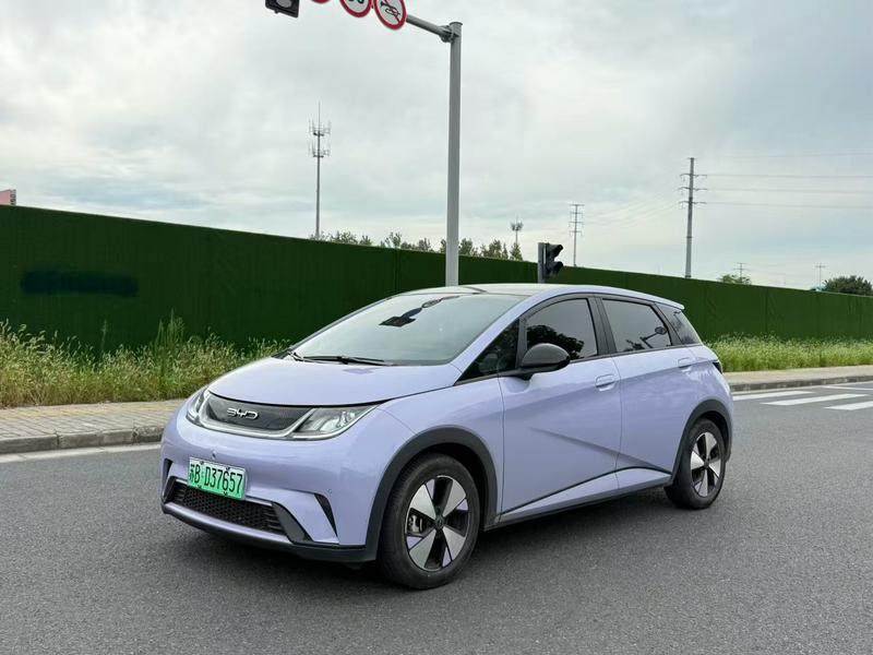 BYD Dolphin, 2023 — купить в Санкт-Петербурге под ключ