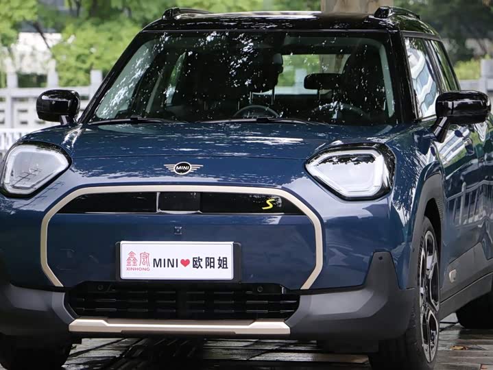 Mini Aceman, 2024 — купить в Санкт-Петербурге под ключ