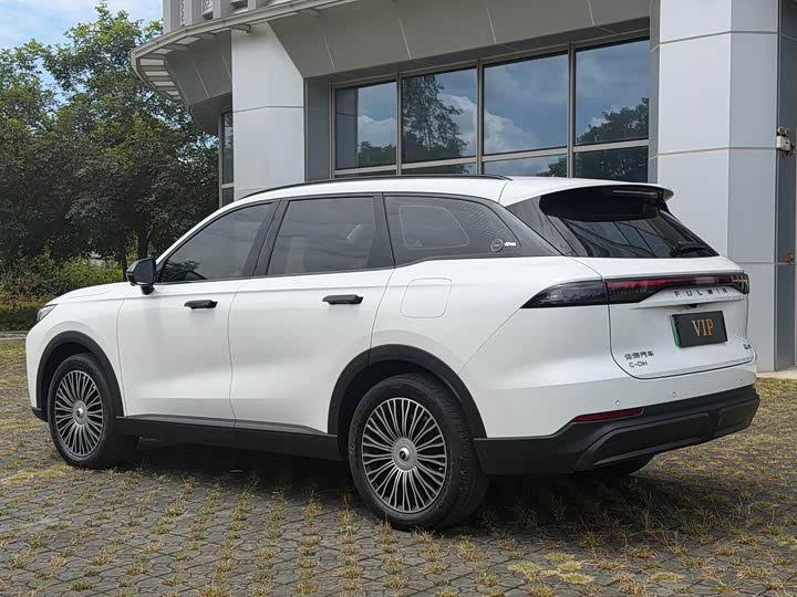 Chery Fulwin T9, 2024 — фото 6 из 9