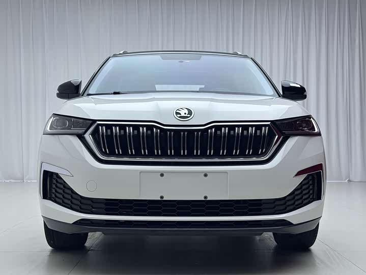 Skoda Kamiq, 2021 — фото 2 из 9