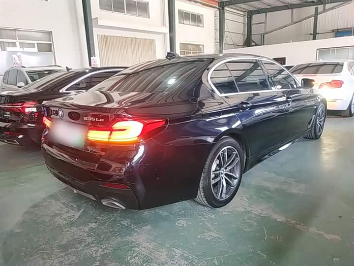 BMW 5 Series Hybrid, 2022 — фото 7 из 9