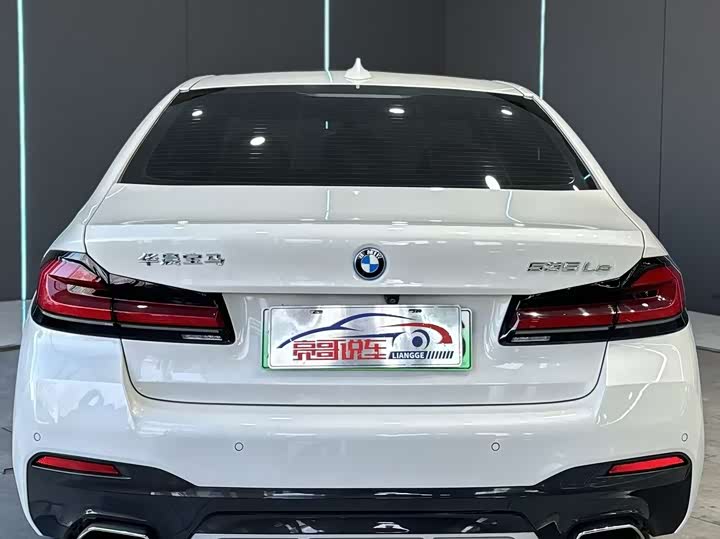 BMW 5 Series Hybrid, 2022 — фото 7 из 9