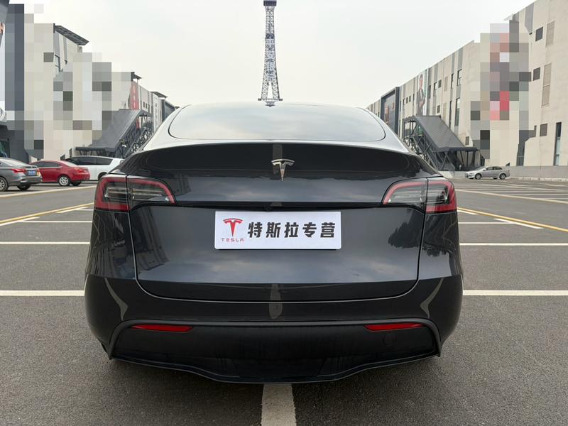 Tesla Model Y, 2024 — фото 5 из 10