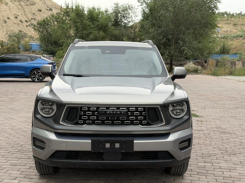 Haval H-Dog, 2023 — фото 2 из 10
