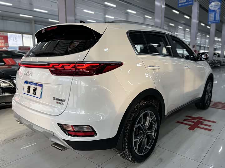 Kia KX5, 2022 — фото 7 из 12