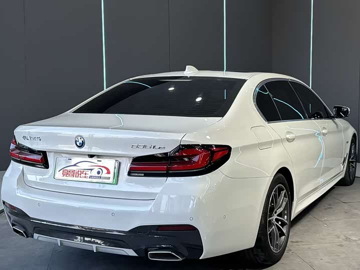 BMW 5 Series Hybrid, 2022 — фото 6 из 9