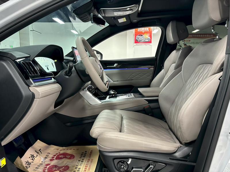 BYD Tang Hybrid/EV, 2024 — фото 8 из 10
